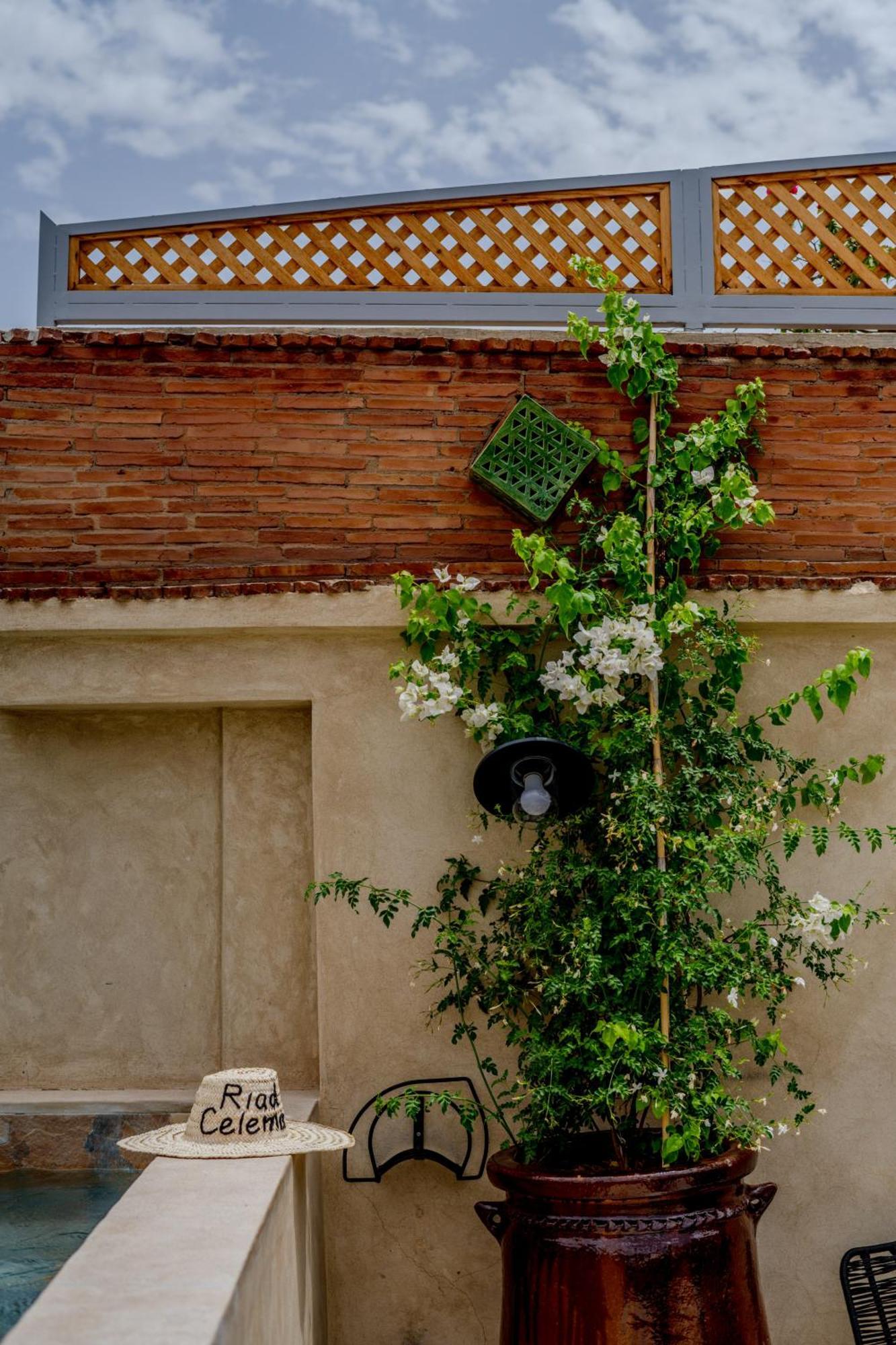 Riad Celema & Spa マラケシュ エクステリア 写真
